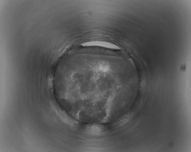X0000111810282200908131506