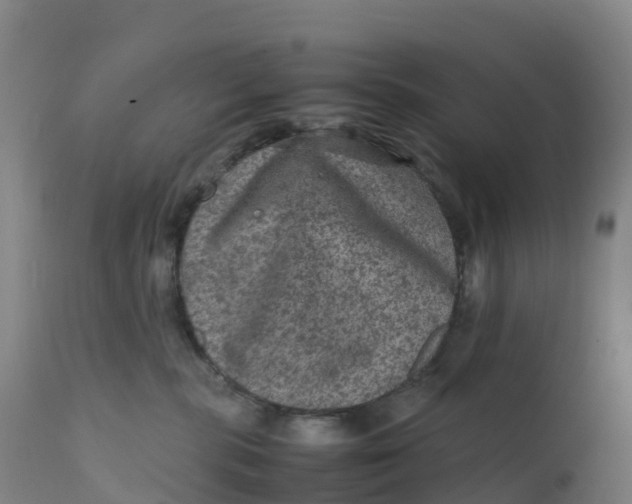 X0000111810283200908131506