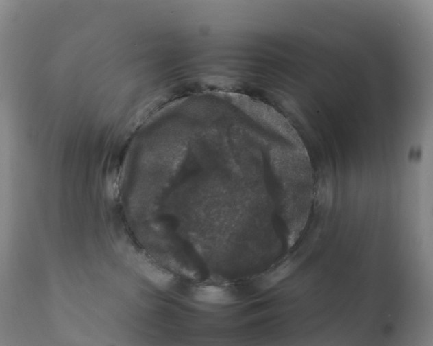 X0000111810285200908131506