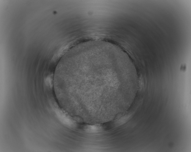 X0000111810286200908131506