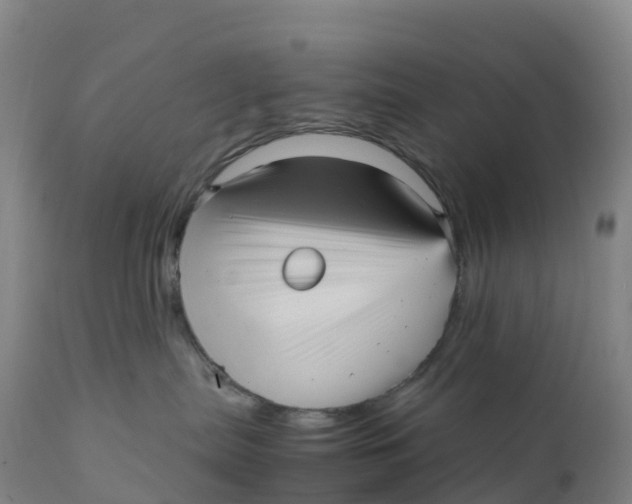 X0000111810287200908131506