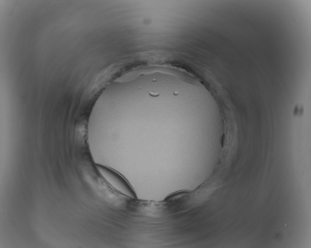 X0000111810288200908131506