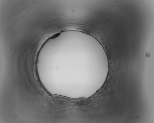 X0000111810289200908131505