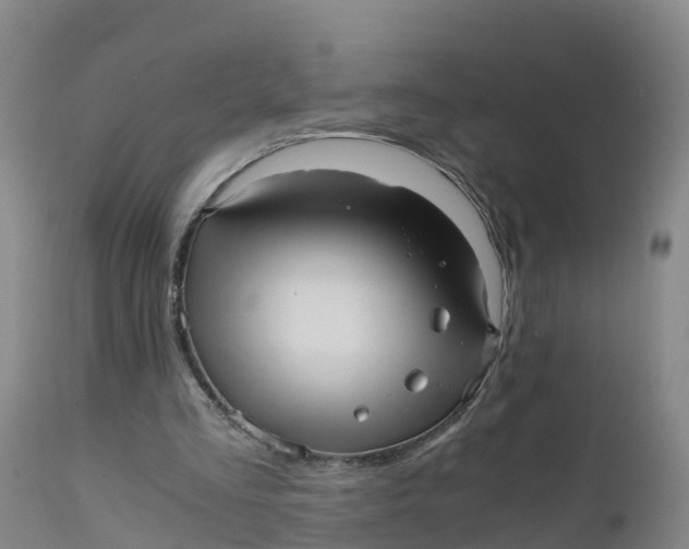 X0000111810293200908131505