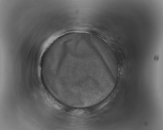 X0000111810294200908131505