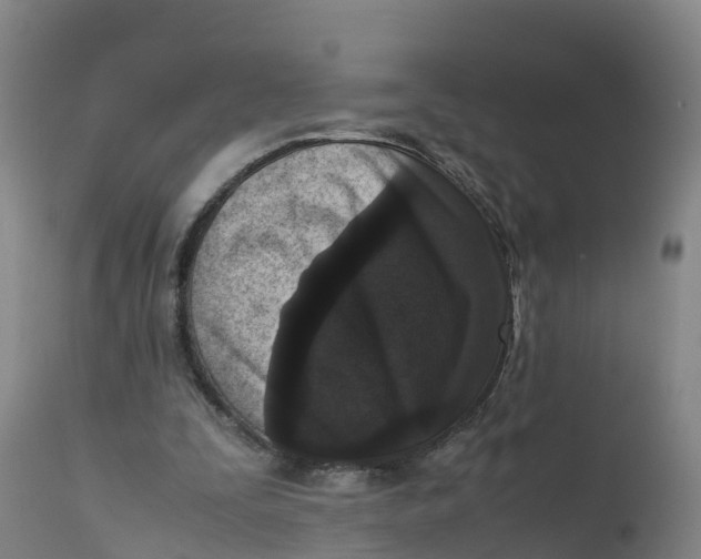 X0000111810295200908131505