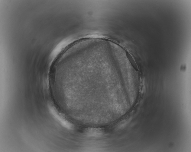 X0000111810296200908131505