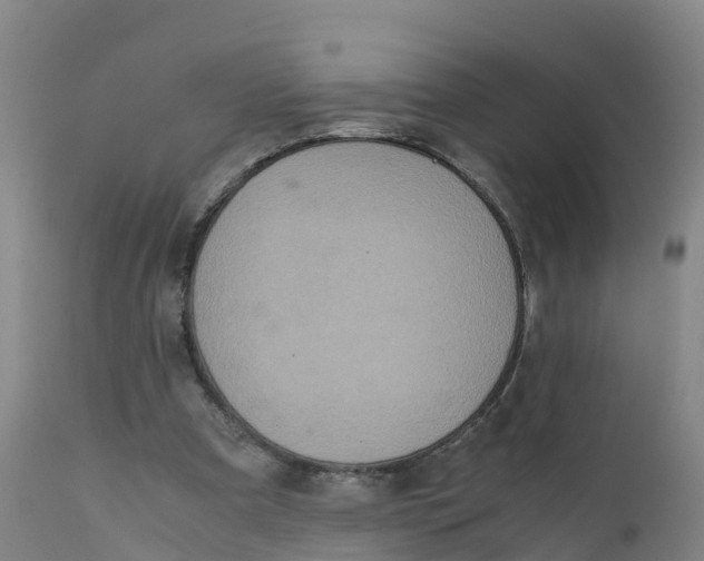 X0000111810297200908131505