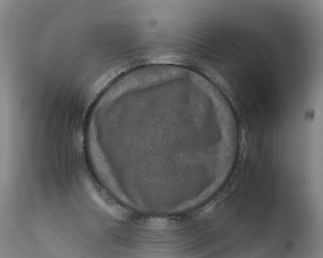 X0000111810298200908131505