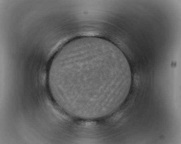 X0000111810304200908131505