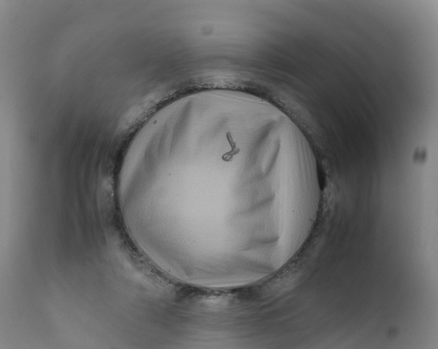 X0000111810306200908131505
