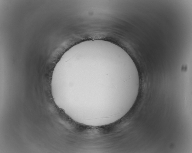X0000111810307200908131505