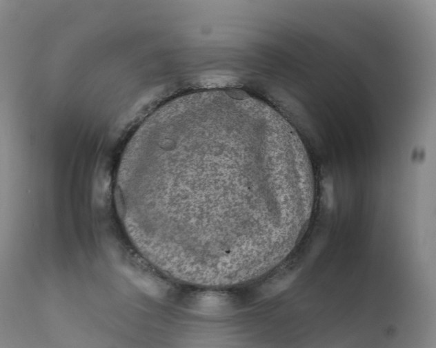 X0000111810308200908131505