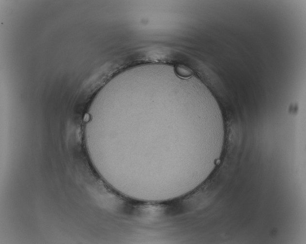 X0000111810313200908131505