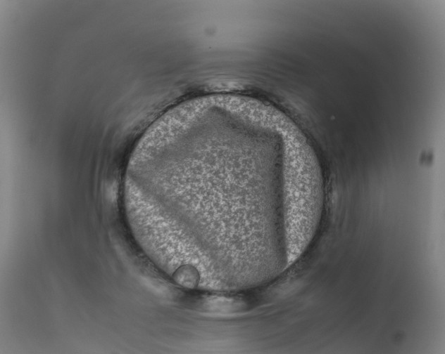 X0000111810315200908131505