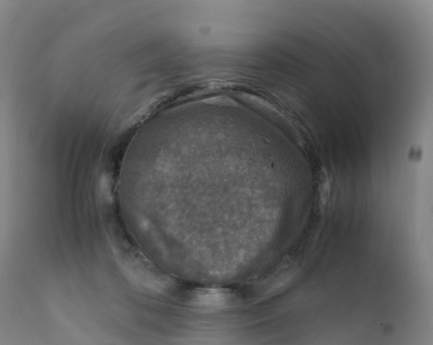 X0000111810316200908131505
