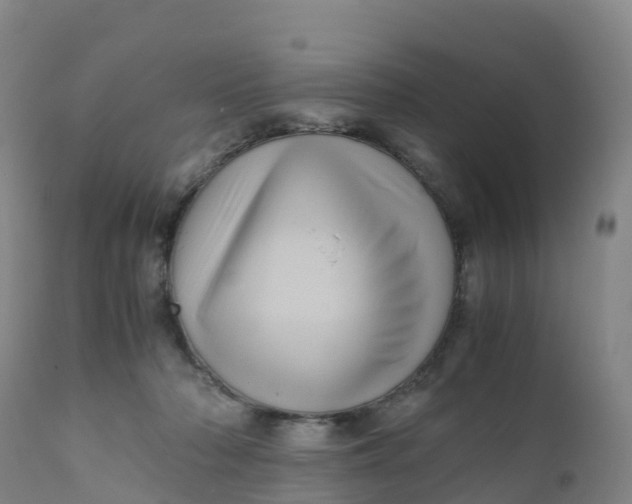 X0000111810318200908131505