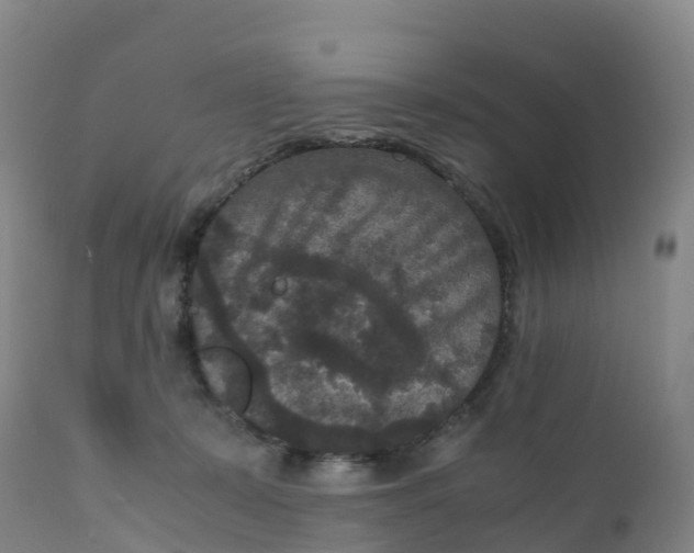 X0000111810319200908131505