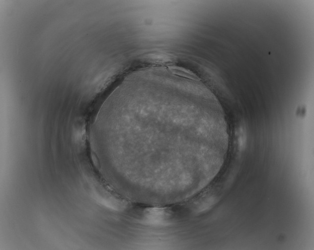 X0000111810320200908131505