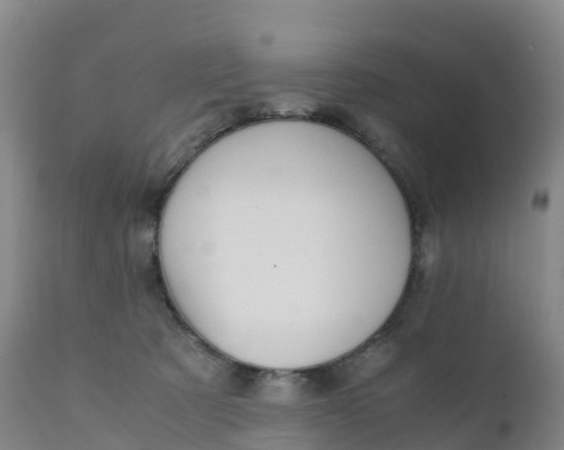 X0000111810321200908131505