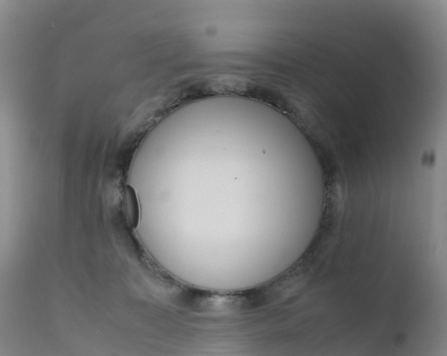 X0000111810323200908131505