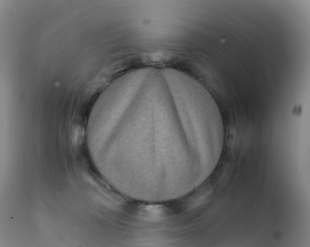 X0000111810324200908131505