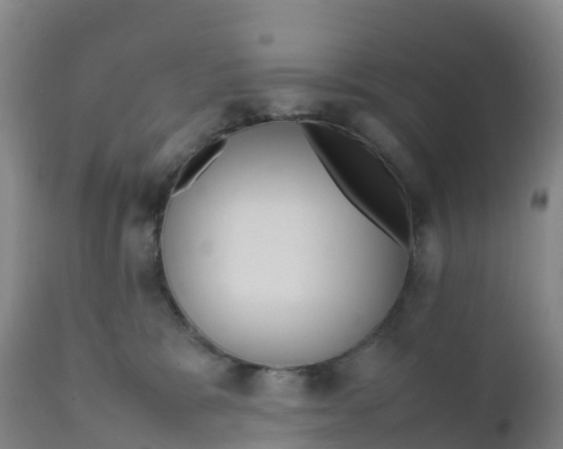 X0000111810327200908131505