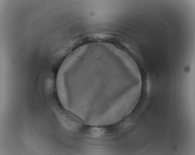 X0000111810328200908131505