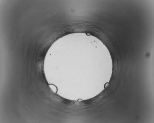 X0000111810329200908131505