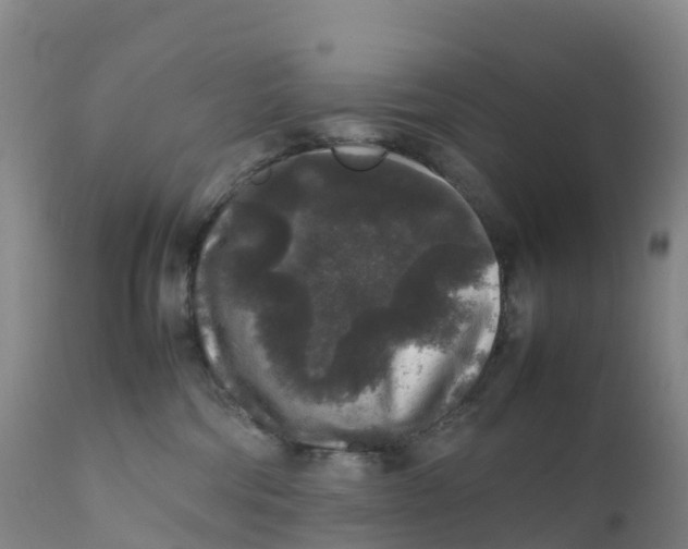 X0000111810330200908131505