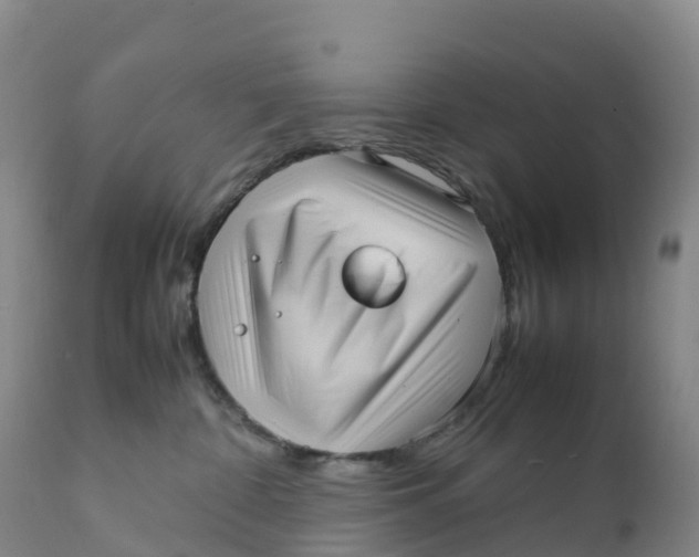 X0000111810332200908131505