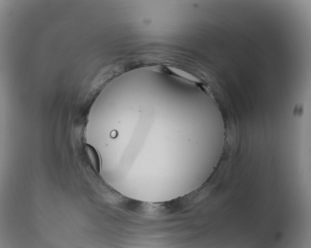 X0000111810333200908131505