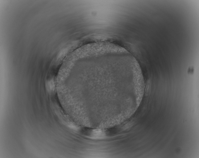 X0000111810335200908131505