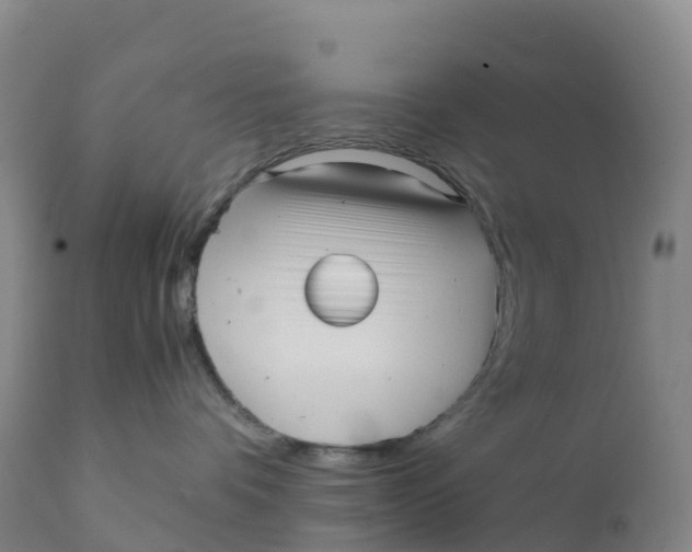 X0000111810336200908131505