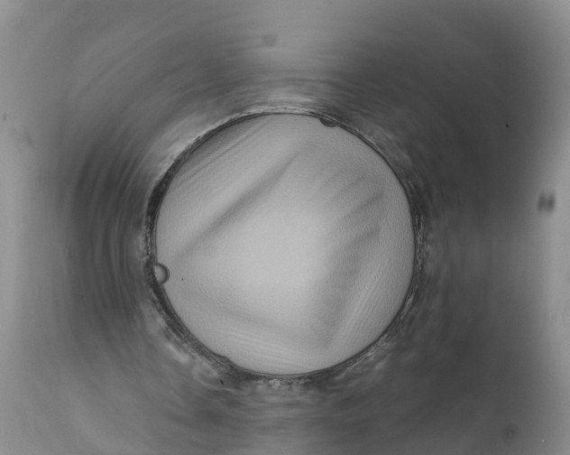 X0000111810338200908131504