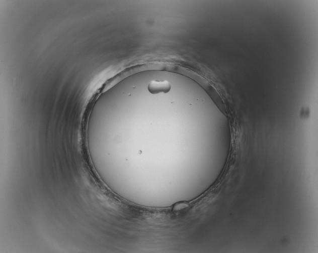 X0000111810340200908131504