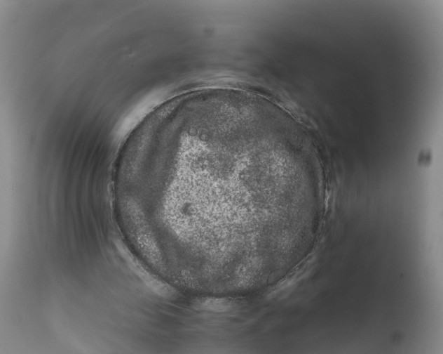 X0000111810341200908131504