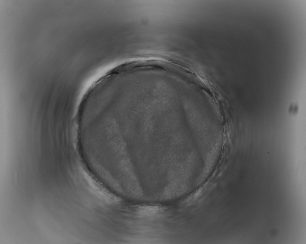 X0000111810342200908131504