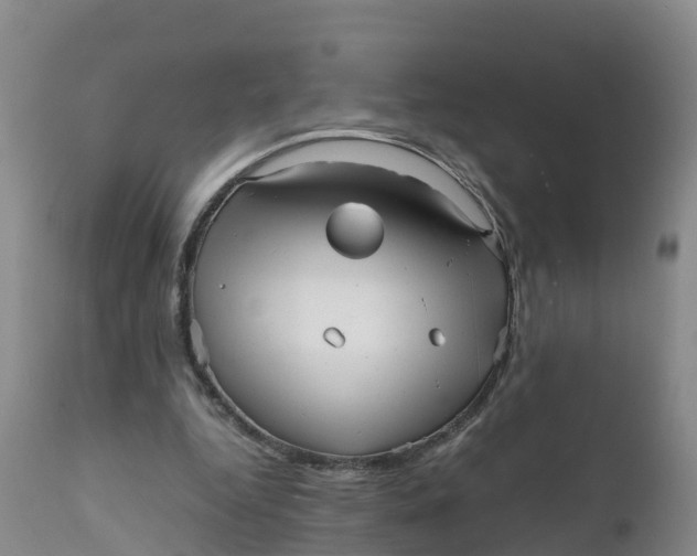 X0000111810344200908131504