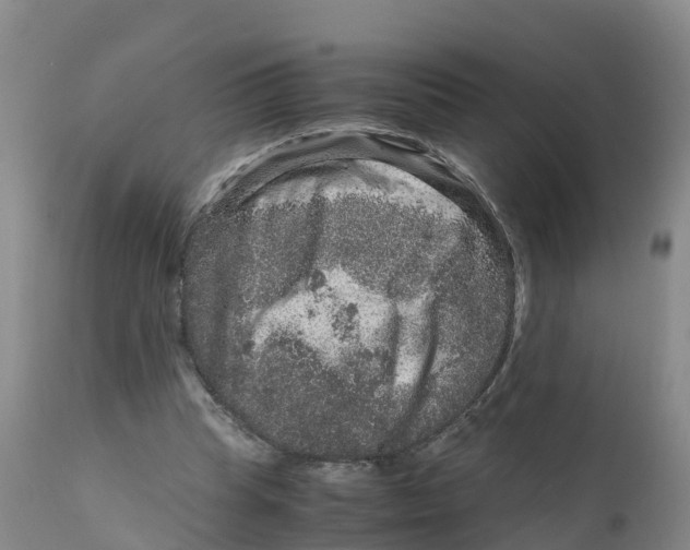 X0000111810345200908131504
