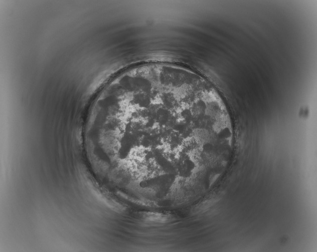 X0000111810347200908131504