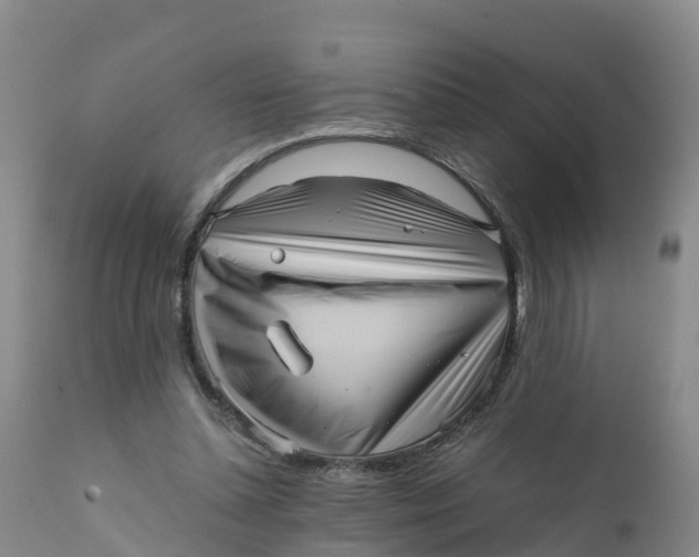 X0000111810348200908131504