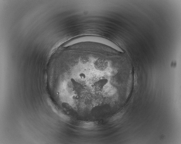 X0000111810349200908131504
