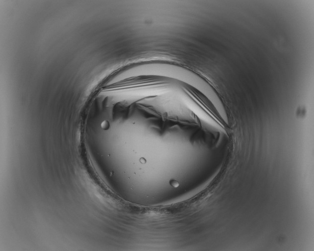 X0000111810350200908131504