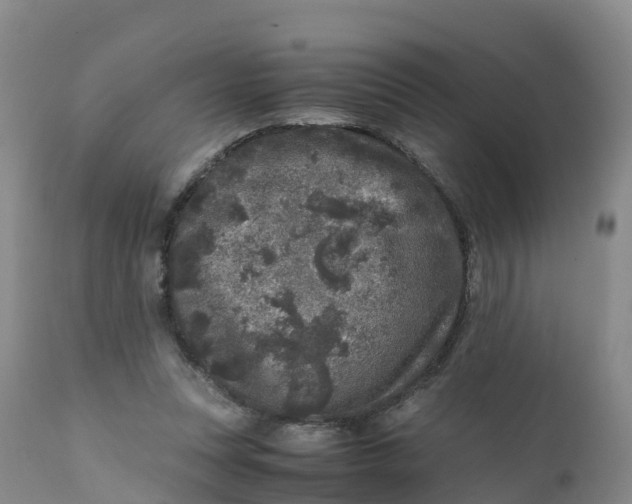 X0000111810351200908131504