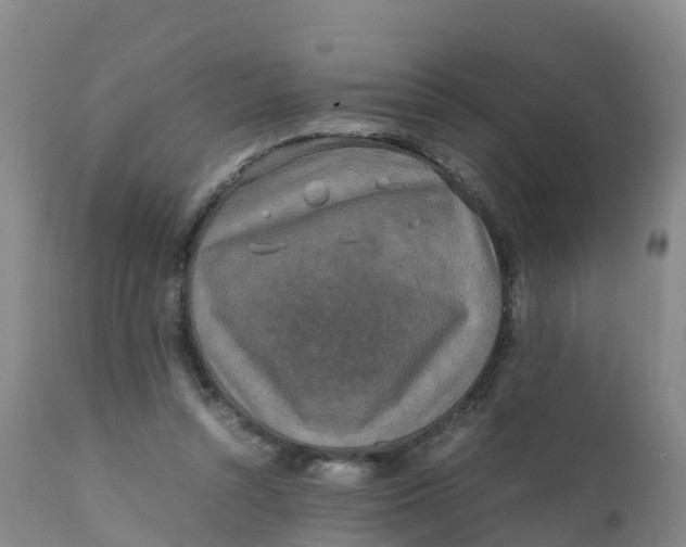 X0000111810352200908131504