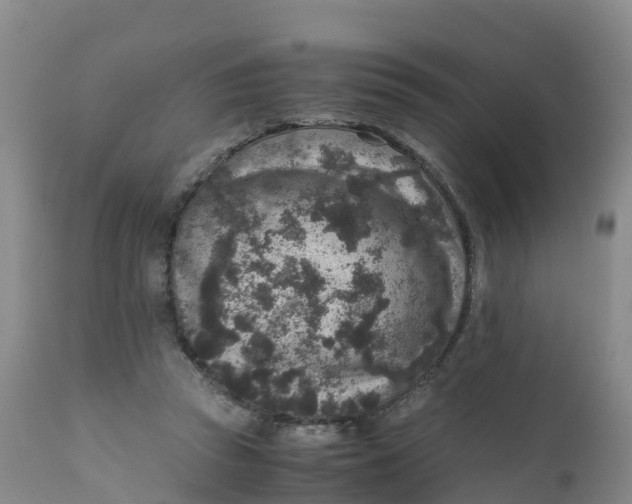 X0000111810353200908131504