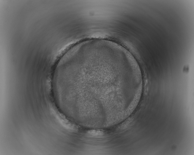X0000111810354200908131504
