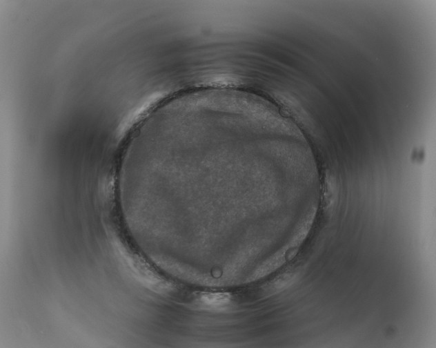 X0000111810355200908131504