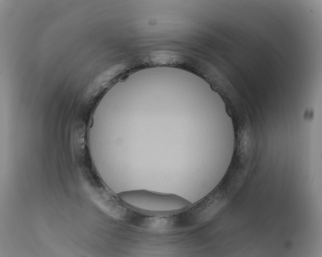 X0000111810356200908131504